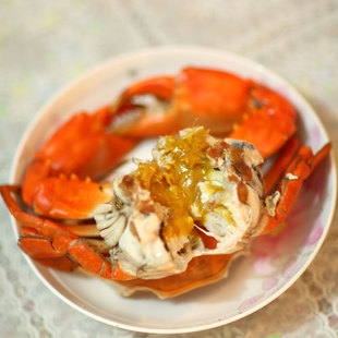  三门青蟹 特产 鲜活海鲜 大红膏蟹黄蟹螃蟹两斤装