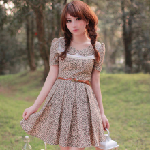 2012夏装新款女装连衣裙修身显瘦雪纺裙田园中腰碎花裙配皮带预售