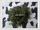 A级优质人参花250克 保新货