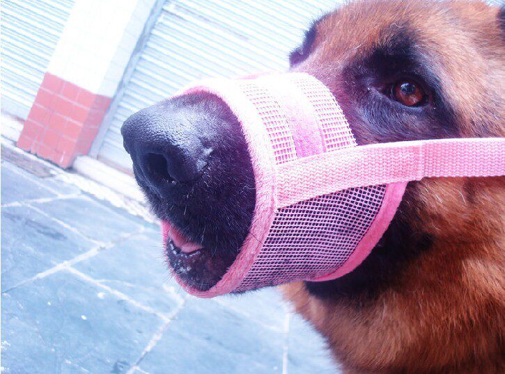 Factory direct for flower adjustable pet masks (muzzle) comfort unique design preventing caught off bark control