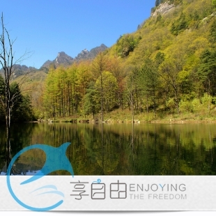 河北旅游 石家庄出发 秋山自然生态一日游/景点旅 河北旅游 石家庄出发 秋山自然生态一日游/景点旅