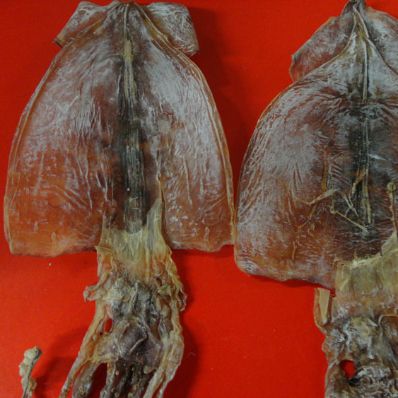 淘宝网热卖海鲜\/水产品鱿鱼制品排行榜_2013