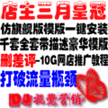 店铺装修模板全套 店铺推广 一键安装模版旺铺扶植版模版/标准版