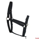 taobao english 8215143731