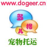 taobao english 6994886302