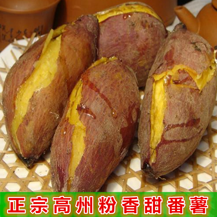 广东高州特产新鲜红薯生番薯山芋农家现挖番薯黄心薯500g|ruв категории водной мясо/свежие фрукты и овощи/еда, свежие овощи/овощной продукции, свежие овощи, сладкий картофель - от Buy2taobao.com для оказания профессиональной услуги покупки агента Taobao