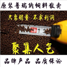 普瑞纳散装锦鲤鱼饲料中粒 金鱼食鱼粮500克/ 江浙沪运费6元封顶
