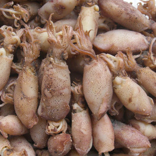 11年货 温州特产 小海兔(笔管蛸)250g 笔管鱼乌