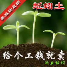 蚯蚓土蚯蚓粪营养土有机肥花肥团购 500g仅0.60元