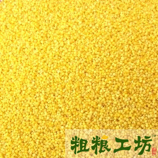  『粗粮工坊』小米 东北粟米 小黄米 黄小米 宝宝辅食 五谷杂粮 新