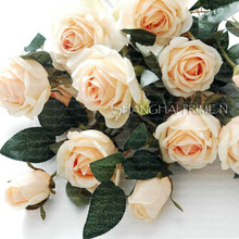 PRIME.N:ROLLED CHAMPAGNE BOUQUET ROSE