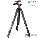 taobao english 12947619590