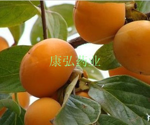 农家特产 无熏原色新柿子叶 柿叶茶1斤 柿子叶