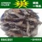 上下架计划:正品野生 新疆/青海 肉苁蓉切片 大芸 中药泡酒料 补肾茶固精包邮