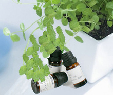 �غ�ѡ�100%�¹���������10ml��ե���� �۴���Ƥ ��ˬ�ͻ�����