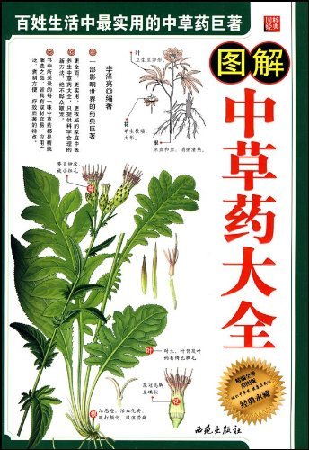 图解中草药大全(精编全译彩图版) 中草药书 医学医药书籍 中药大全 中