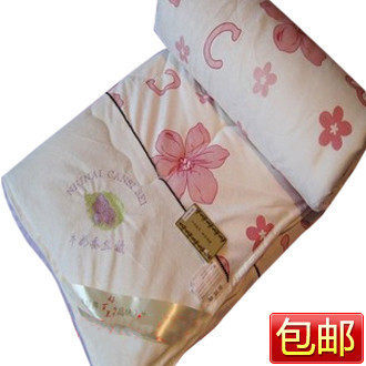 潮人必备 直销全棉蚕丝被 春秋被 夏凉被夏被可水洗 多区包邮