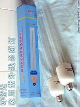 �ؼ۴�����30w�����ߵƹ� ����30W������ 30W������ɱ���ƹ�