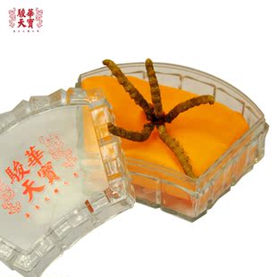  骏华天宝 玉树冬虫夏草正品批发同仁堂级5根2克 青海虫草3g配礼盒