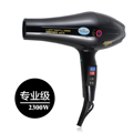������Ʒ KF-8883 רҵ�����ӵ紵��� ���� 2300W �ͷ������