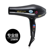 ������Ʒ KF-8883 רҵ�����ӵ紵��� ���� 2300W �ͷ������