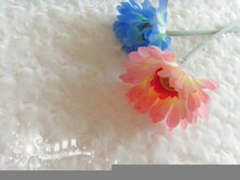 ������  ����̺ ���յ��� �ߵ�������  ����������   ��ɫ������