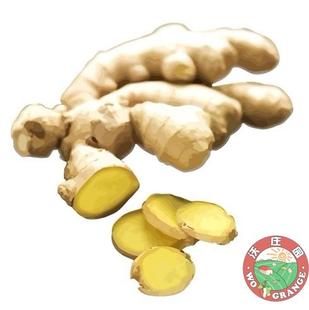  山东老姜生姜250克,新鲜蔬菜调味品,今日特价秒杀菜市场生鲜超市