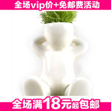 创意小白人青草盆栽植物(坐) 花卉 绿色有氧盆栽 绿植 盆景80g