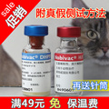 【特价】荷兰英特威犬用四联/五联疫苗 狗疫苗 送针筒 保温运输