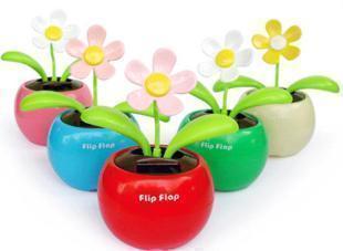 正版现货★ 如意 (湖南卫视 收视率 冠军主角签名