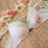 淘宝购物70a.<em>文胸</em>B5美国F*ame马克西姆巧克