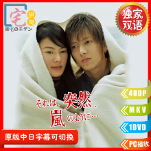 山下智久双语日剧《像暴风雨般的恋爱》中日双语字幕10集全+特典