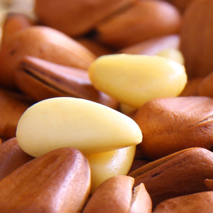  百草味 坚果特产零食 特价开口松子 东北松子 240g*3袋包邮