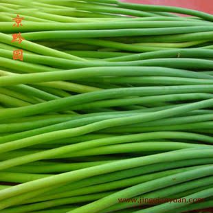  【京黔园】绿色食品优质蔬菜 蒜苔 北京买菜当天送到家
