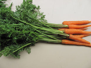  新鲜蔬菜 迷你手指小胡萝卜 西餐配料 儿童辅食磨牙棒