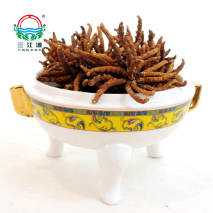  三江源牌冬虫夏草一级3克组合装  青海玉树虫草 补肺产地直销正品