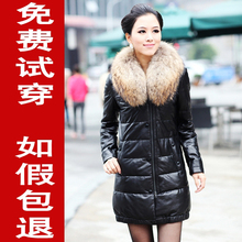 皇冠 海宁2011新 真皮皮衣 女 皮草貉子毛领 加厚真皮羽绒服长款