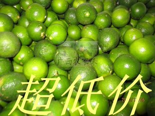  新鲜水果 海南青金桔 青桔 鲜桔茶原料 5元/斤 超低运费