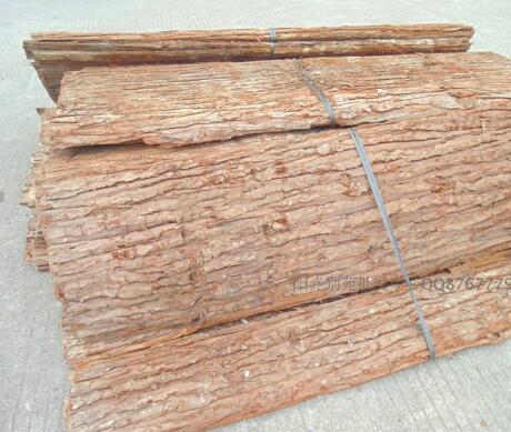 超大块超长老杉树皮批发 多年生长真干树皮 农