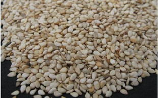  新上市新货 白芝麻 生芝麻 有机芝麻 小颗粒 自种香*杂粮店*