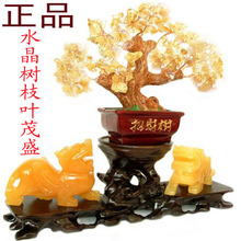 开光正品 天然黄玉貔貅风水摆件 黄水晶树摆件 黄玉聚宝盆摆件