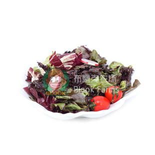  蔬菜水果沙拉生菜新鲜沙拉色拉Salad送沙拉酱 火红年代生菜沙拉