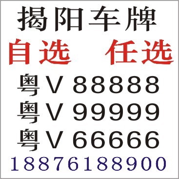 揭阳车牌选号软件网上月选车牌号(省时省新)