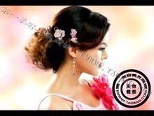 盘发必备！时尚高清盘发大全17张 盘发教材 美发碟片 美发光盘 Y