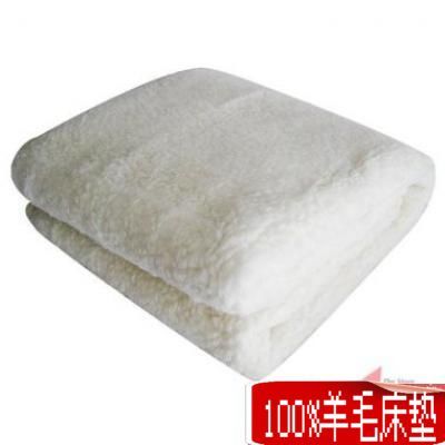 床褥\/床垫\/床护垫,老弹匠新疆有网细绒棉胎\/棉被