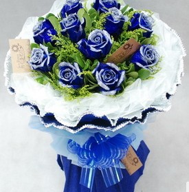 蓝色妖姬 瑞昌鲜花 湖口鲜花预定 共青城鲜花 德安鲜花 武宁鲜花