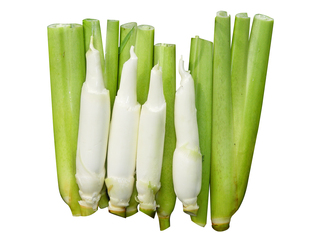  中国有机绿色食品专营 天地生 茭白500g 新鲜蔬菜 北京满百包邮