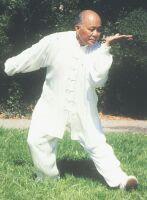 运动书籍\/教材,硬气功资料《少林铁指功的练法