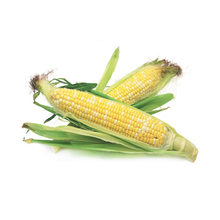  中国有机绿色食品专营 天地生 粘玉米500g 北京满百包邮