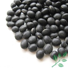 十元不限重 大黑豆绿芯 真空包装 优质农家杂粮 补肾粥 500g